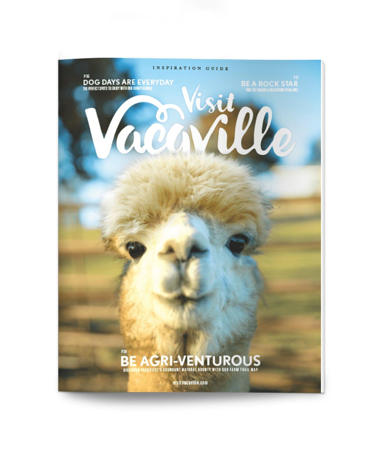 Vaca_GuideCover