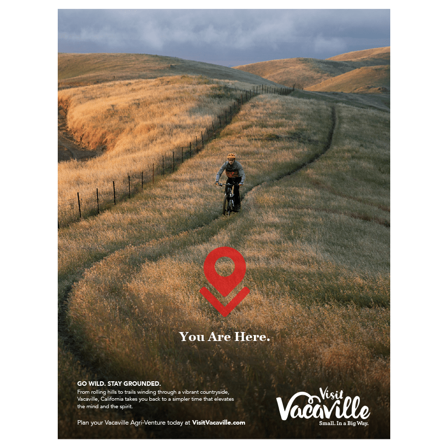 VacaCaseStudy_BikeAD